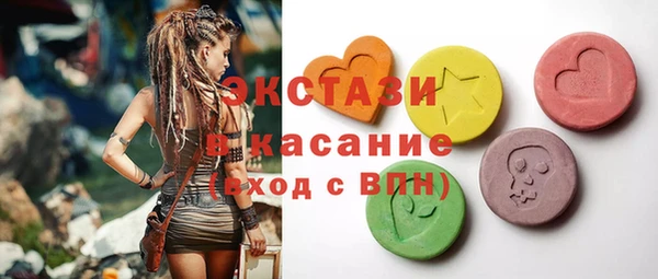 крисы Козельск