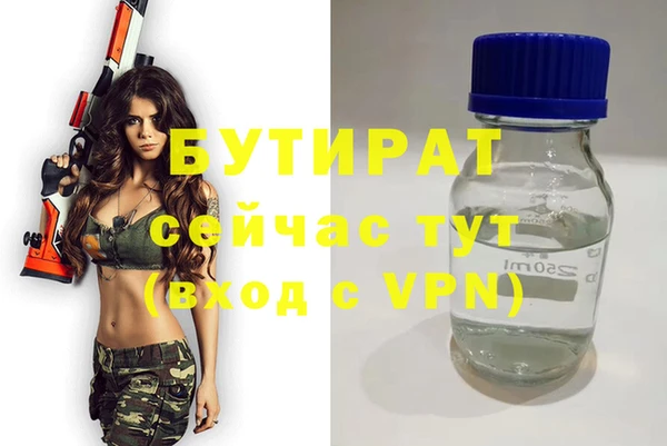 индика Козловка