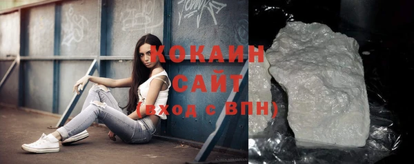 индика Козловка