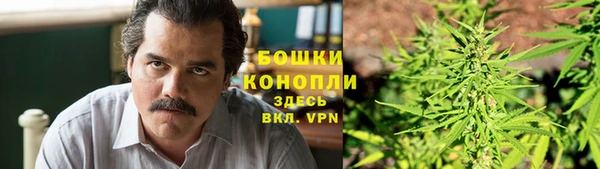 крисы Козельск
