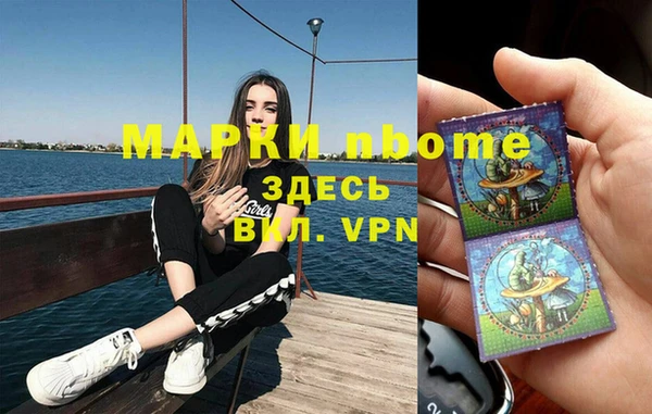 крисы Козельск