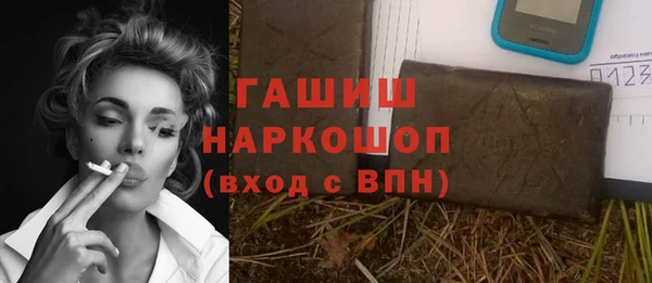 индика Козловка