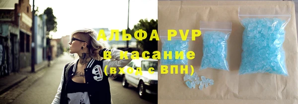 крисы Козельск