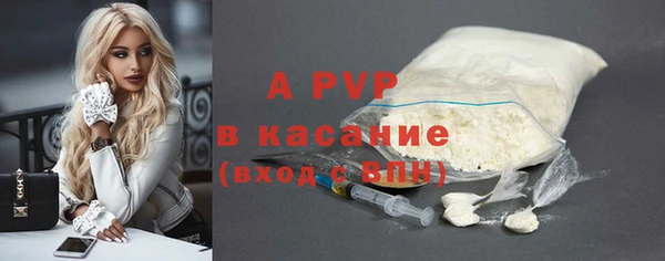 индика Козловка