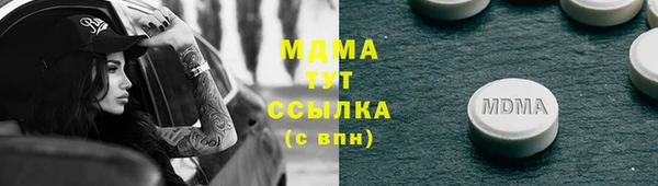 индика Козловка