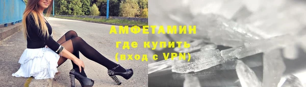 индика Козловка