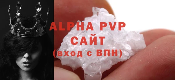 индика Козловка