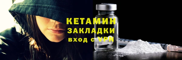крисы Козельск