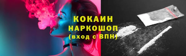 крисы Козельск