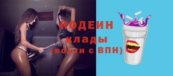 крисы Козельск