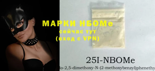 крисы Козельск