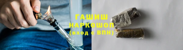 индика Козловка
