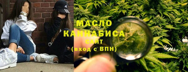 индика Козловка