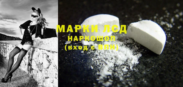 индика Козловка