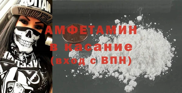 крисы Козельск