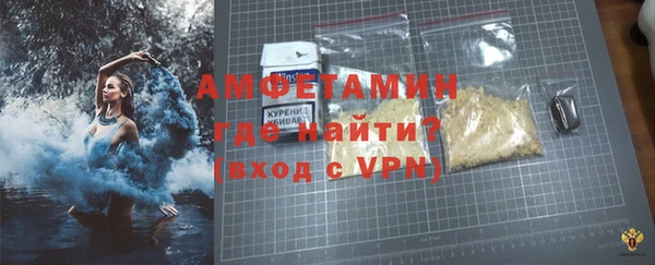 индика Козловка