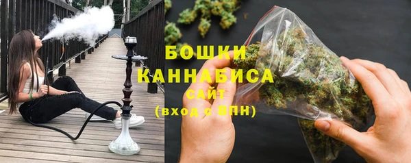 крисы Козельск