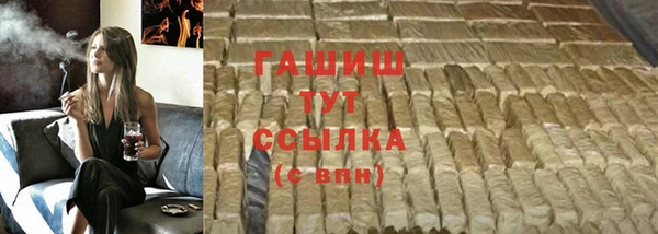 индика Козловка