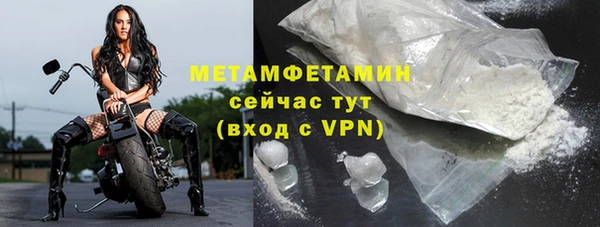 индика Козловка
